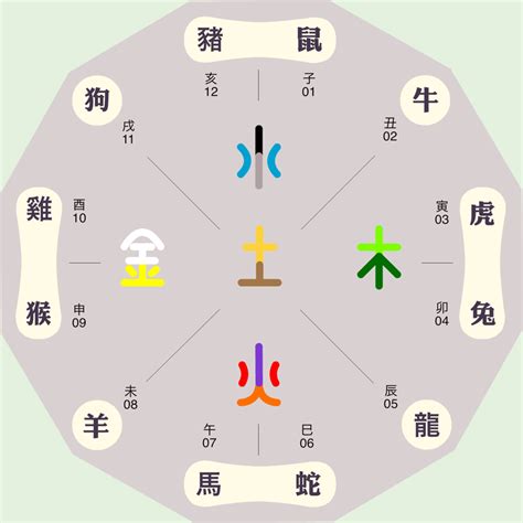 子五行属什么|子字的五行属什么